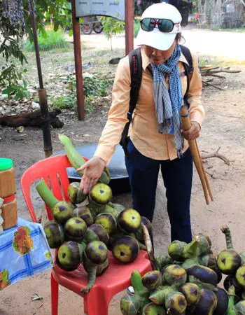 Nuestra guia Alan explicando el fruto Tnao de la palmera camboyana, Camboya
