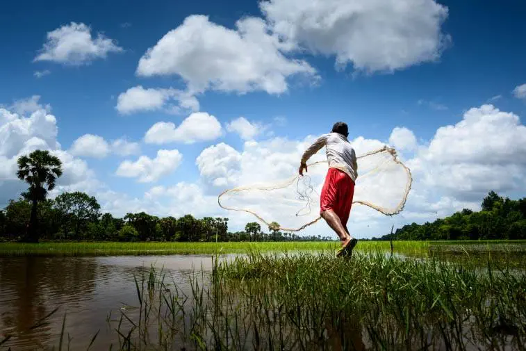 Hombre pescando en laguna, Camboya