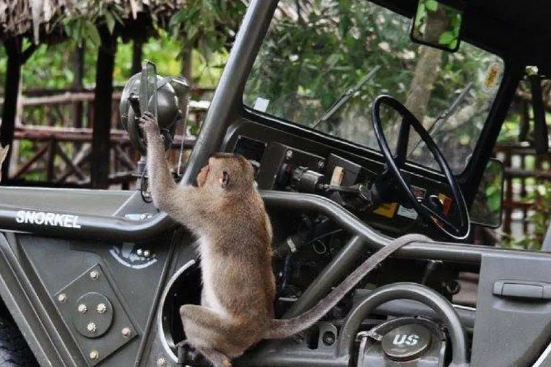 Visita angkor en Jeep, Camboya