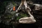 Monje budista en los Templos de Angkor, Camboya